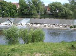 Neckar